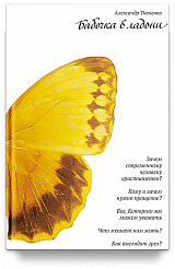 Бабочка в ладони