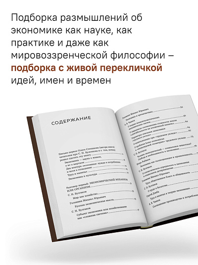 Сергей Булгаков. Философия хозяйства как проект устойчивого развития мира Сергей Булгаков. Философия хозяйства как проект устойчивого развития мира