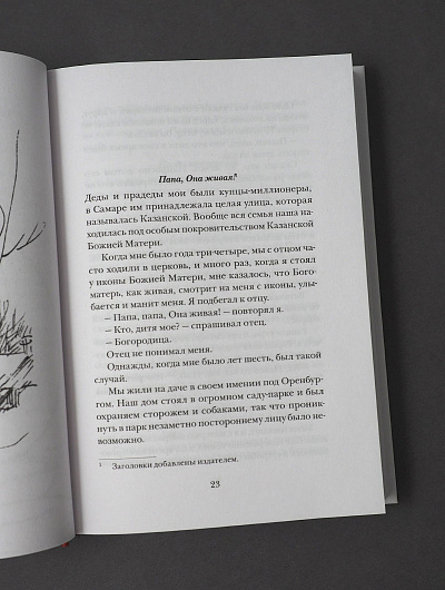 Не бойся, цел твой кораблик. Истории, рассказанные преподобным Варсонофием Оптинским