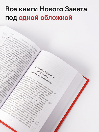 Новый Завет. С зачалами