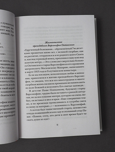 Не бойся, цел твой кораблик. Истории, рассказанные преподобным Варсонофием Оптинским